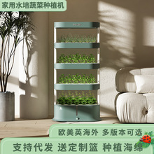 无土栽培水培蔬菜智能种植机室内多层阳台种植架种菜盆科研劳动课