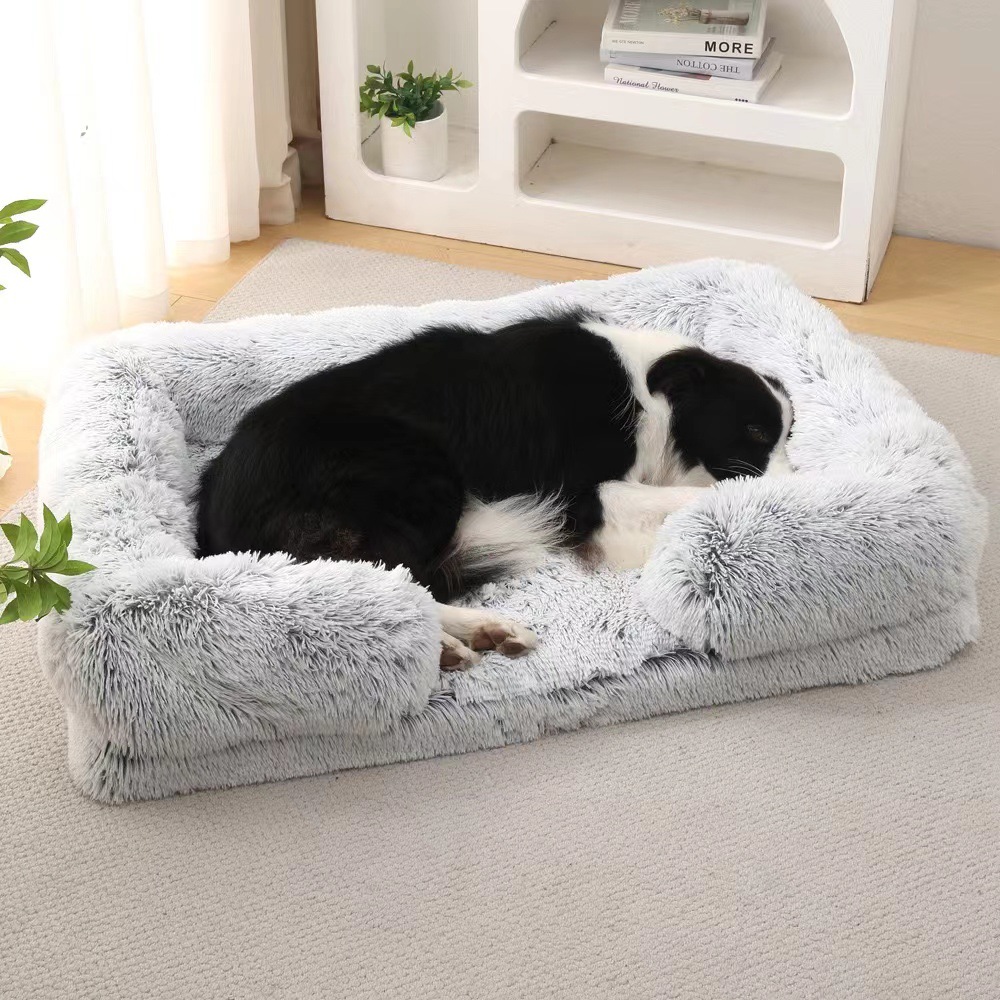 Cama de perros, perros, perros