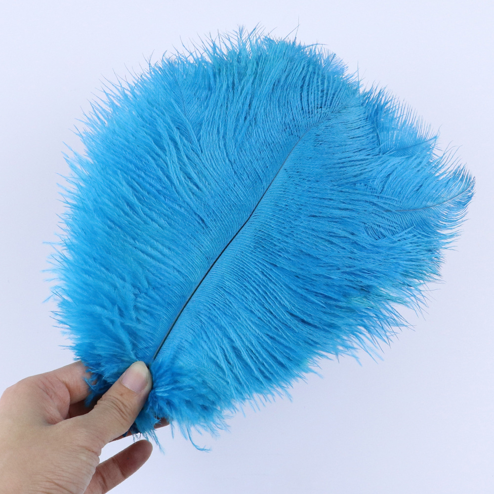 레이크블루 20-25cm, 10개입