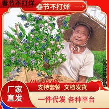 һl{ݮ玧{ݮϱNֲش̨Ԙ