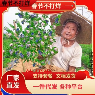 һ�����l�{ݮ����玧�����{ݮ���ϱ����Nֲ�����ش��̨���Ԙ���