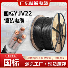 ���\����ZC-YJV22���~о345о10ƽ��������ȼ�������늾���|