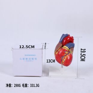 1:1���w���Kģ��B���ʳ��t���ăȿ����K���ʽ̌Wģ����Ȼ�����K