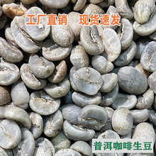 �®a���ն���Ʒ��������AA��ˮϴ̎���w��M���x���|�����ȿ���