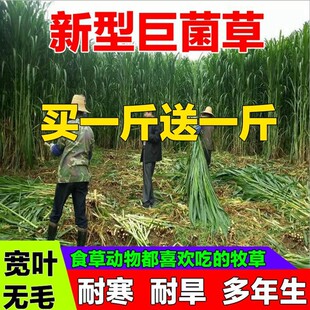 ���͸߮a�޾��ݷN�Ӷ������ļ���������ݻ���ݷN���Bֳ��������