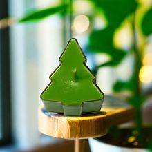 ������������}�Q��Ϟ�T�������Ϟ�T�F؛ֲ��Ϟ��ɫ������޹Ϟ�T