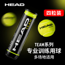 HEAD����Team4���b�W���Љ���Ӗ��������TOUR XT���I��ِ����