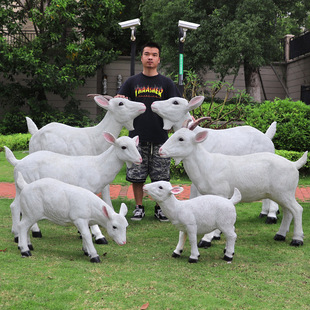 ����ɽ��ͥԺ���@�����[��ͥԺ�r����̖������ƺ����d���b���