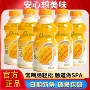 新品风味添加300ml饮品
