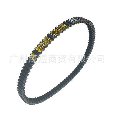 B013360/1G for PIAGGIO – Belt