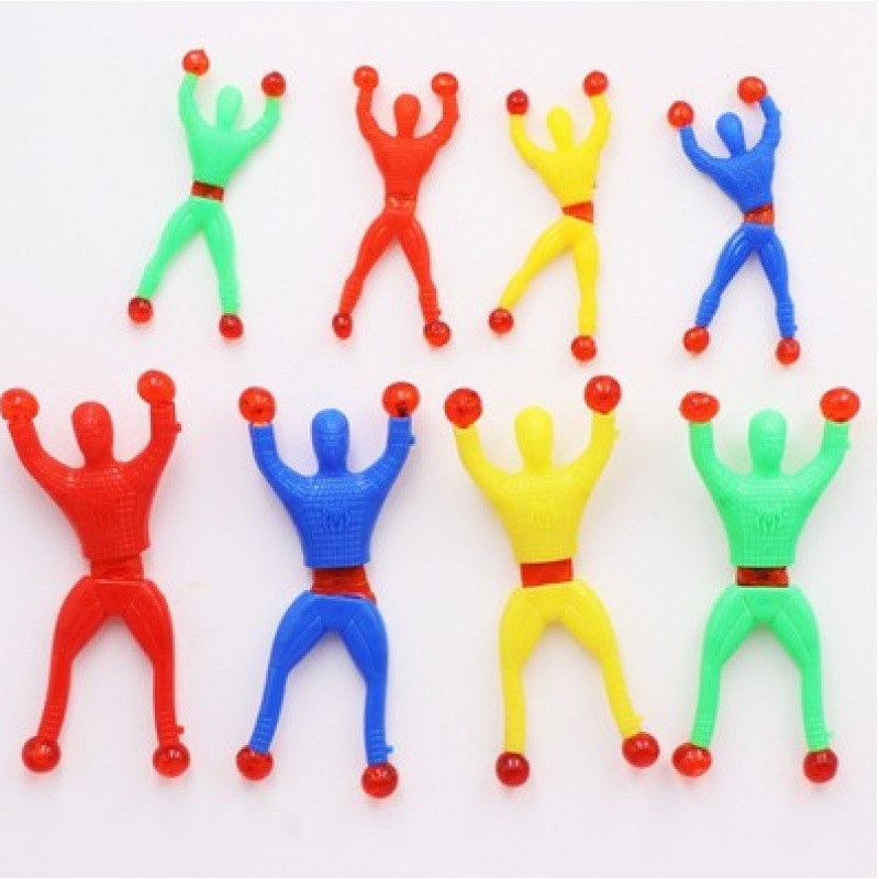 회색 벽타기 거미 - 혼합 색상