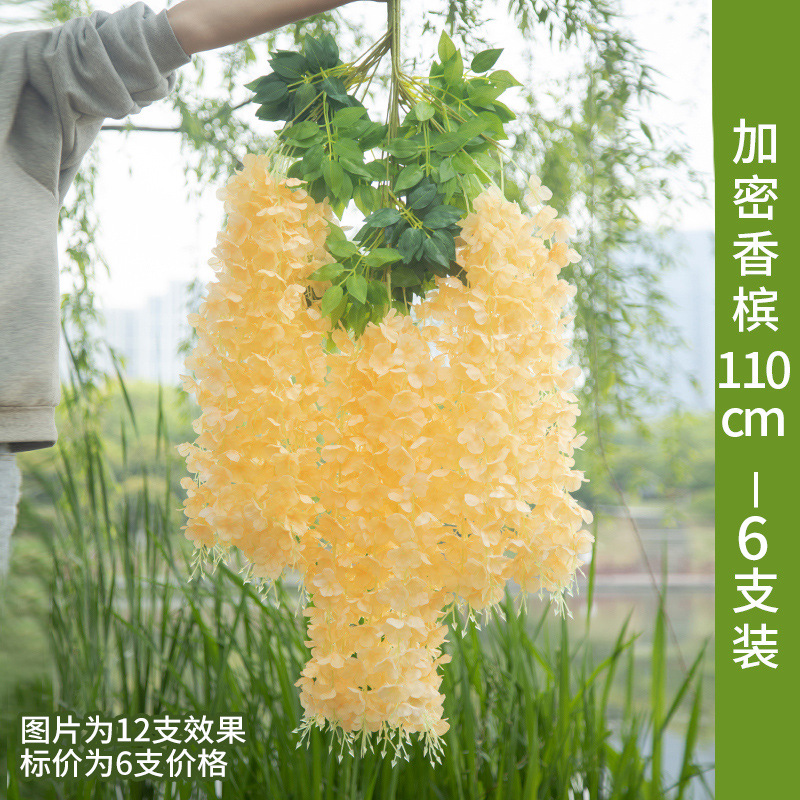 Champagne color upgrade encryption 6