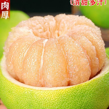 度尾文旦柚新鲜柚子当季水果红白心蜜柚甜西柚子老树大果整箱