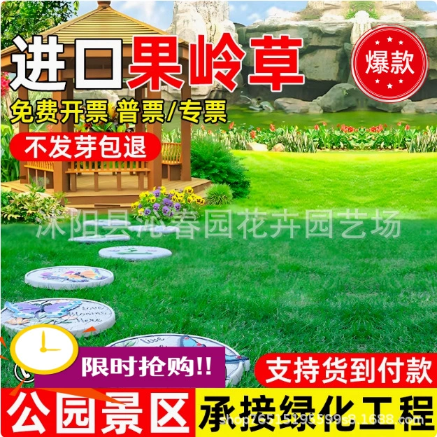 Газон семена травы вечнозеленые склоны