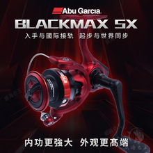 25BLACK MAX SX΢／܇݆ҎhͶˮ·O݆