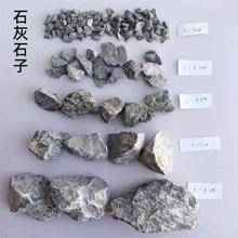 石灰石颗粒试验用200目碳酸钙粉 钢厂电厂烟气脱硫用高钙石灰石块
