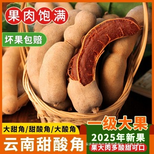 ��˾�C�������خa���rҰ��������ЋD��ʳ������ᗗ���_����