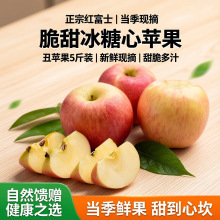 �t��ʿ�O�������֭�O��10����ˮ��ƽ��������]���r�����ĳ��O��