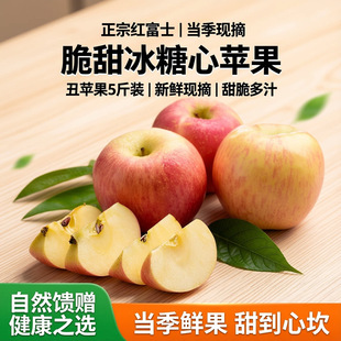 �t��ʿ�O�������֭�O��10����ˮ��ƽ��������]���r�����ĳ��O��