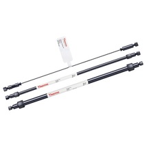 076026ِĬwCS19xӷ,4X250MM Thermo Dionex IonPac