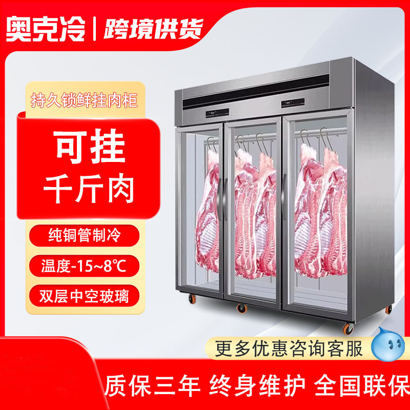 挂肉柜商用立式牛羊肉冷藏展示柜熟成柜单双门鲜肉排酸冰柜保鲜柜