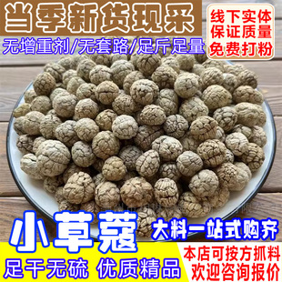 �ݶ�ޢ�ݿ��ʲݿ۲ݿ�������ޢ�u���ϲݶ������ϟ����u���������l