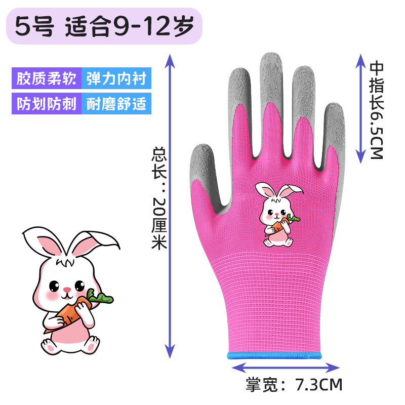 핑크 5 호 [9-12 세]]