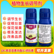 ˮ��С��ר��̦ܿ������&middot;S-�տ��ص�������ֲ��ȼ���ҩ��������