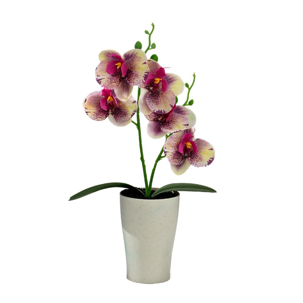 Dos dientes cinco flores sensación de mano pequeña orquídea mariposa imitación bonsai flores falsas decoración del hogar fotografía flores artificiales flores de boda