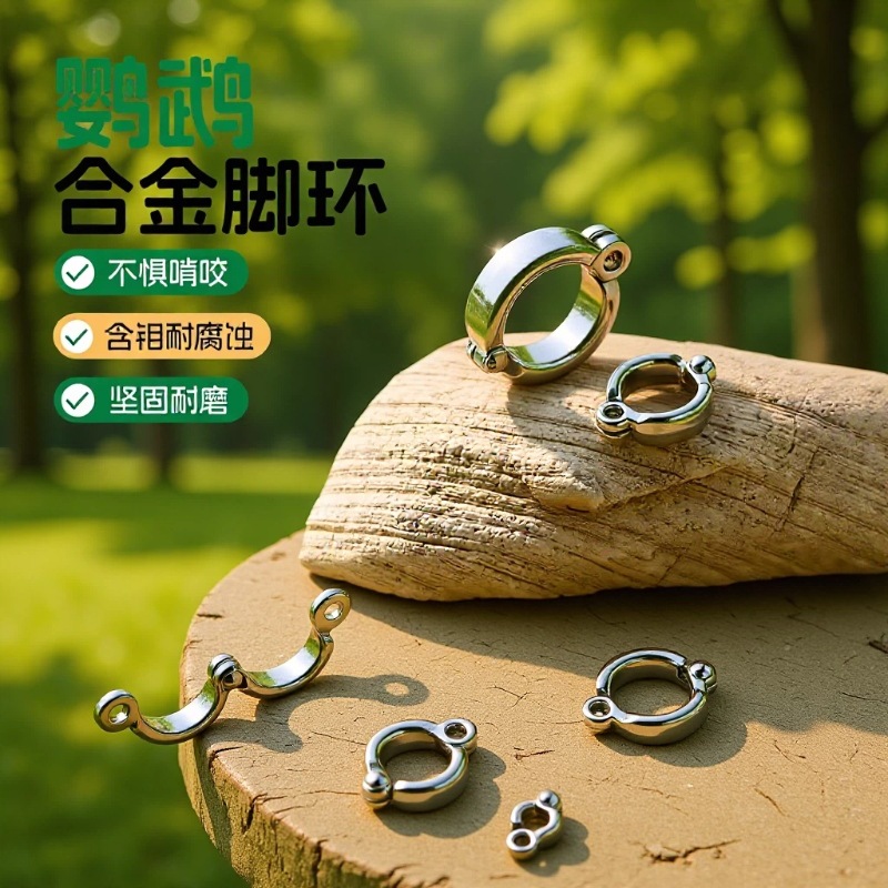 现货批发小鸟锌合金脚环鹦鹉八哥宠物鸟脚链配件五金饰品配件