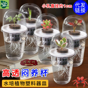 ˮ��N�ӻ������ϐ��籭��ϵ����t���Nֲ��ֲ�@�Nֲ�����߲����L