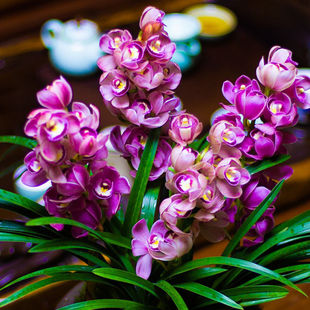 ���̓r �m�� �t��֮�� �����ͻ����ͺ��͟�͏d�Gֲ ����