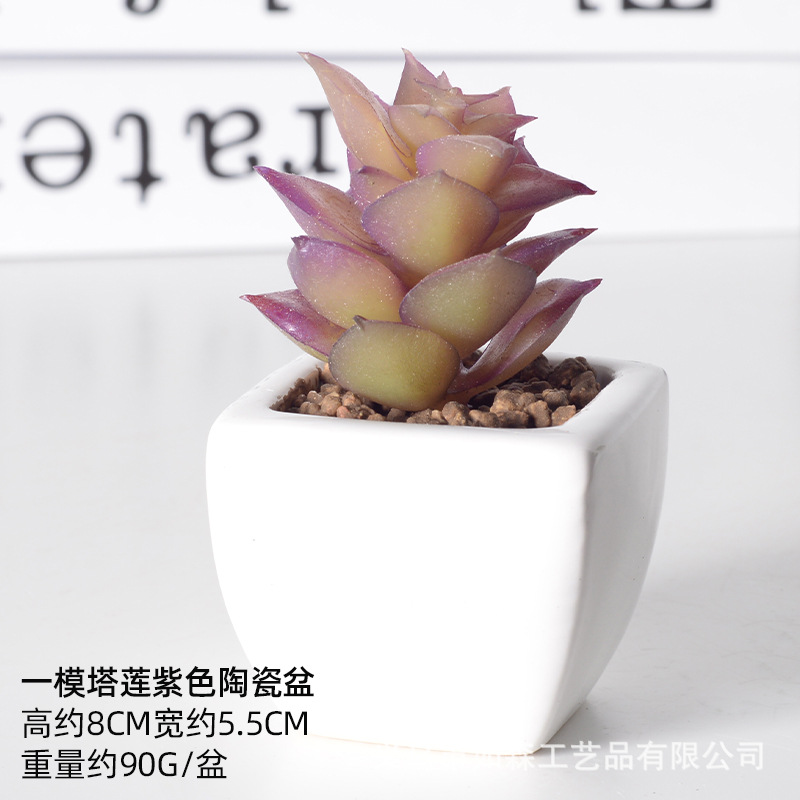 Simulación de cerámica bonsai de carne doméstica decoración de escritorio de oficina plantación verde maceta props de disparo maceta combinada artificial image 66