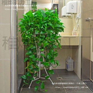 G}LّҒGֲk҃ȴ~Gjˮ໨ܺBLlֲ