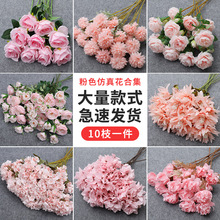 ��ɫ���滨��c���Ż��ٻ�·�����[�Ż�Y������ˇ���Ĳ廨�b�