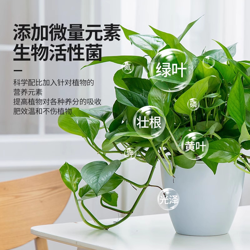 商品图