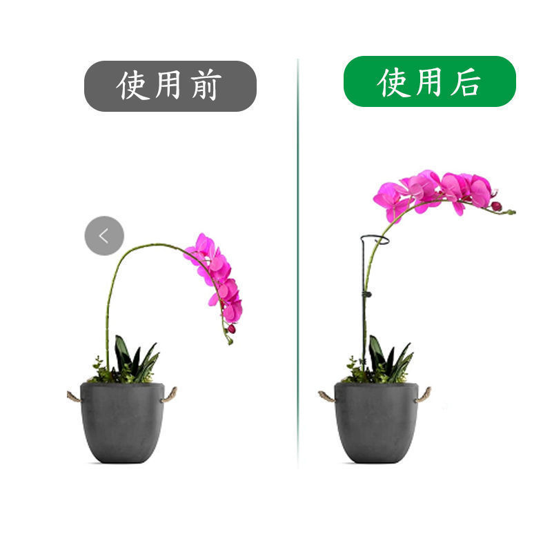 微信图片_202108061011232