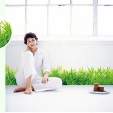 ������@�LС�ݵ����_�����N �������ҿ͏d�h���b� PVC��ճ�N��