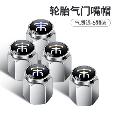 Suitable for Byd Song valve - short-valve-song-silver-set-of-5