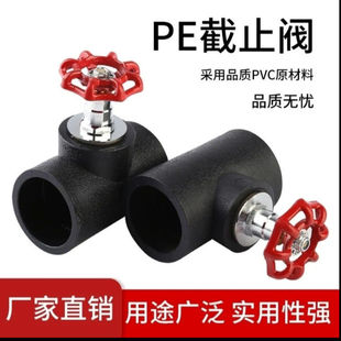 PE��ֹ�y�����ԁ�ˮ�����y�l�y4��6��1��������y�T�_�Ppe��ֹ�y