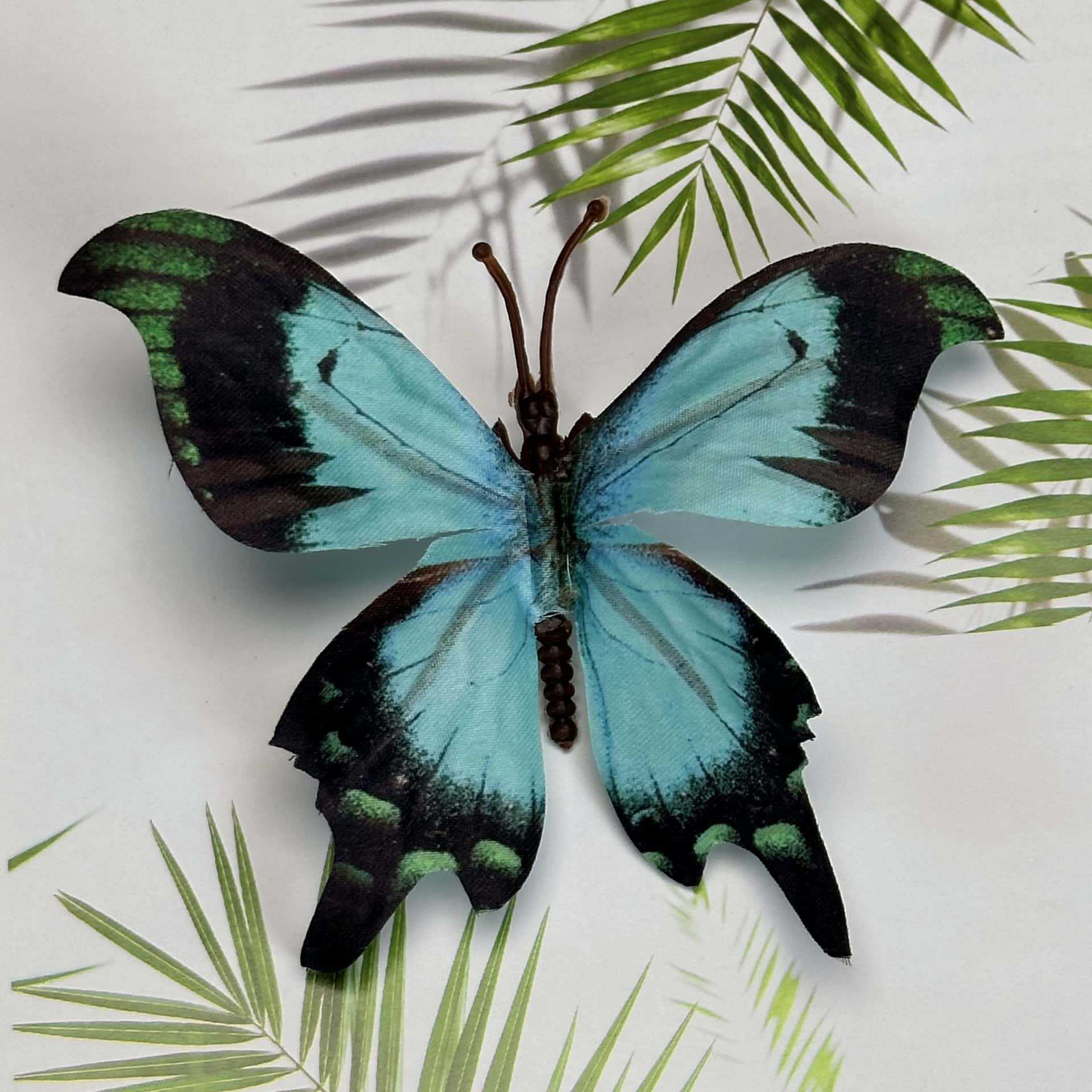 Seda 11CM color mariposa talla grande 35