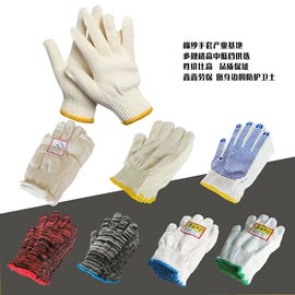 通用手套;其他手部防护;一次防护手套