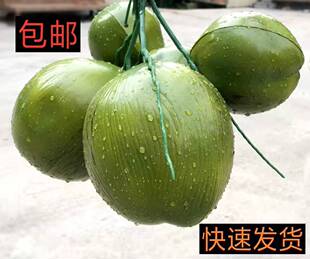 �����Ҭ����Ҭ��Ҭ������Ҭ�Ә�����ϵ��� ����ˮ����ˮ���b�