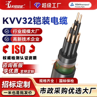 加工定制KVV32铠装控制电缆2 3 4 5 6芯1 1.5平方绝缘国标电线缆