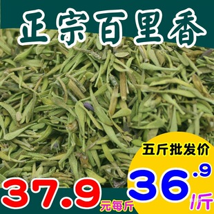 �¼��������{��5thyme�������ʲ�����ʳ�������؛��؛
