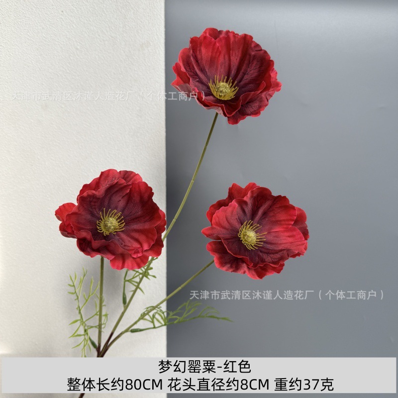 판타지 양귀비(잎 없음)