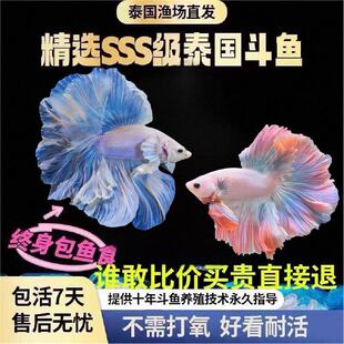 ̩�����~�鼆�~��Ů��۰װ��³�����ˮ�~���˺��B�ͻ�Ꭷ�^�p�~
