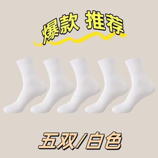New Korean Wave ISN Spring and Summer Socks Women's Bear Socks Pocket Shallow Mouth Low Top Invisible Socks Sports Socks for Men