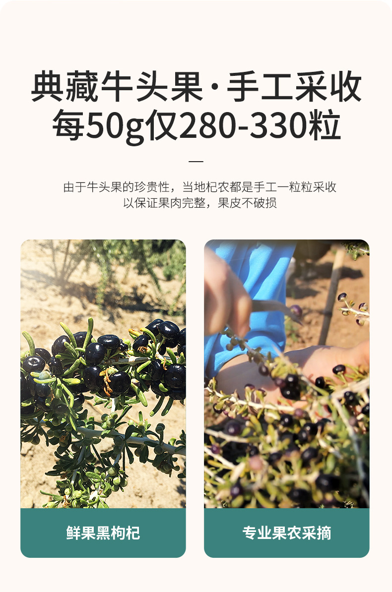 Black Goji Berry Dried Fruit Ready to Eat 250g Bottle for Tea and Congee key features