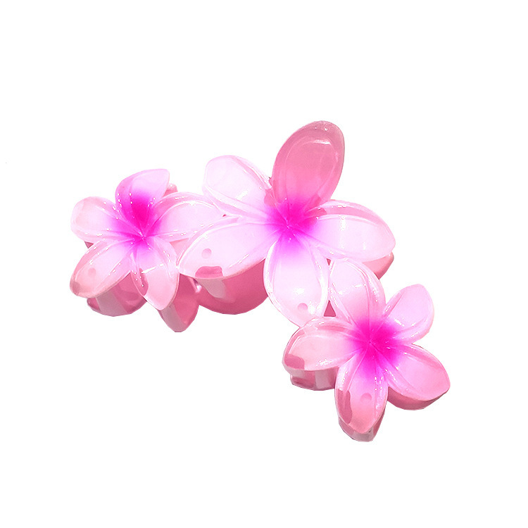 国境を越えたアマゾンの卵の花がグラデーションの花のキャンディー色の紫荊花の後頭部をつかんでサメの花を挟んで髪を伸ばします。|undefined